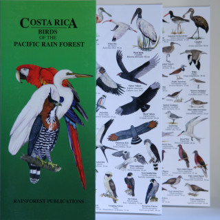 Afbeelding voor Vogelgids - Regenwoud Pacifische Kust