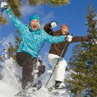 Afbeelding voor BBI Travel - Wintersport Lapland