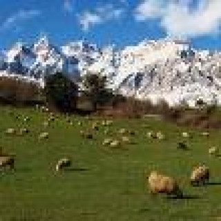 Afbeelding voor De Jong Intra - Picos de Europa