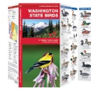 Afbeelding voor TIP - Washington State Birds