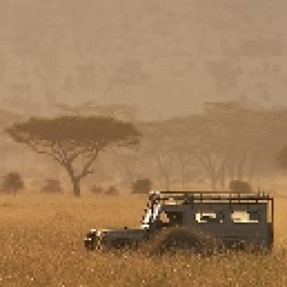 Afbeelding voor Sundowner - Wildlife reis Noord-Tanzania