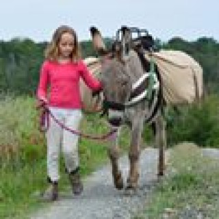 Afbeelding voor Altratoscana - Ezeltrekkingen in Toscane