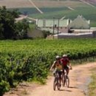 Afbeelding voor Riksja Zuid-Afrika - Fietsen Stellenbosch