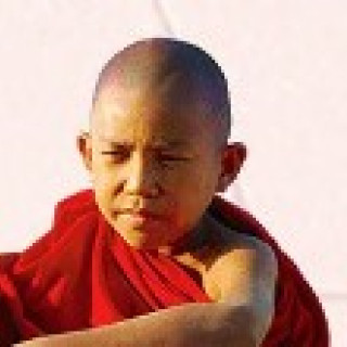Afbeelding voor Djoser - Myanmar