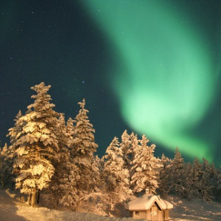 Afbeelding voor Voigt Travel - Lapland specialist