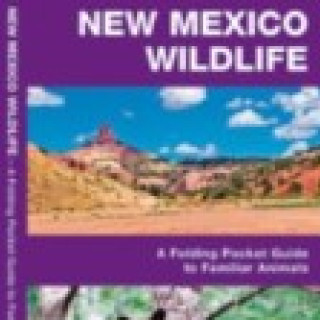 Afbeelding voor TIP - Natuurgidsen New Mexico