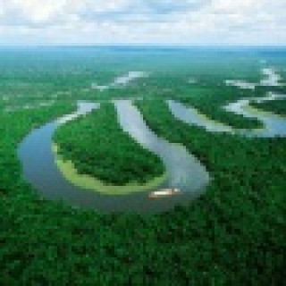 Afbeelding voor Koning Aap - Brazilië & Pantanal