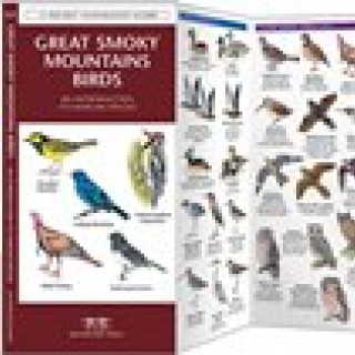 Afbeelding voor TIP - Veldgids vogels in Great Smoky Mountains