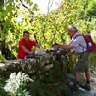 Afbeelding voor STAP - Wandelen in Serra de Cabreira