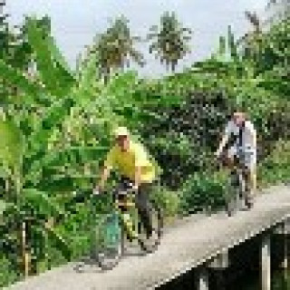 Afbeelding voor Baja Bikes - Fietstours met gids