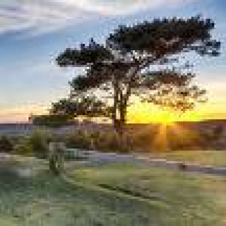 Afbeelding voor De Jong - 12 dagen Devon & Cornwall