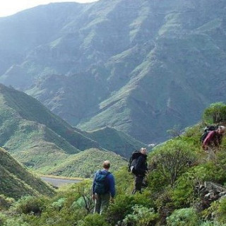 Afbeelding voor SNP - Wandelreis La Gomera