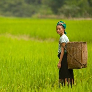 Afbeelding voor Vámonos - Vietnam op maat