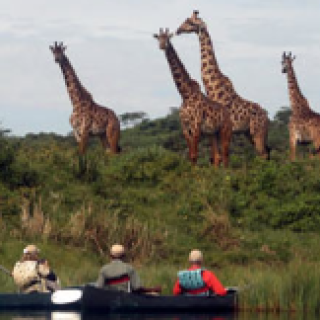 Afbeelding voor Riksja Tanzania - Arusha safari