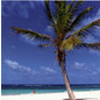 Afbeelding voor Bol.com - Reisgids Sint Maarten