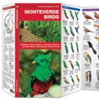 Afbeelding voor Monteverde natuurgidsen