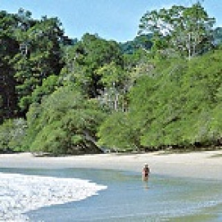 Afbeelding voor Sawadee - Costa Rica compleet