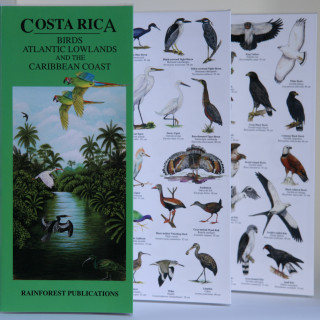 Afbeelding voor Vogelgids - Caribische Kust Costa Rica