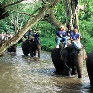 Afbeelding voor Van Verre - Noord-Thailand