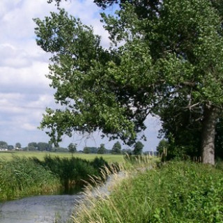 Afbeelding voor ID Travel - Wandelen in Duitsland