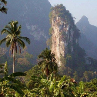 Afbeelding voor Van Verre - Khao Sok Nationaal Park