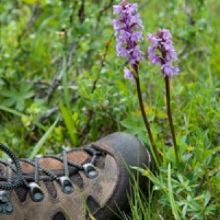 Afbeelding voor ANWB - Bijzondere wandelvakanties