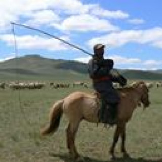 Afbeelding voor Dimsum Reizen - Reis naar de Gobi