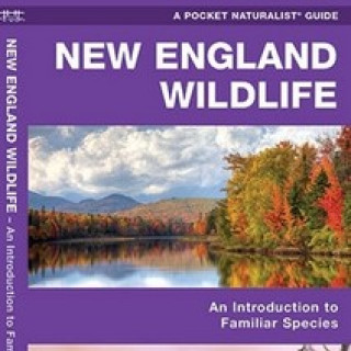 Afbeelding voor TIP - Natuurgidsen New England