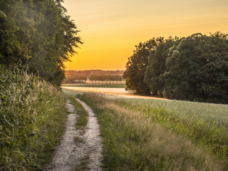 Fietsen in de Achterhoek