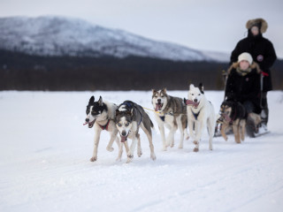 Afbeelding voor De leukste activiteiten in Zweeds Lapland