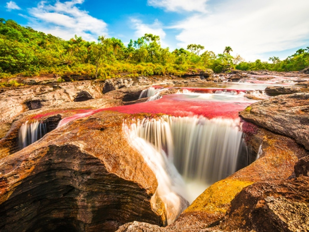 Cano Cristales Colombia