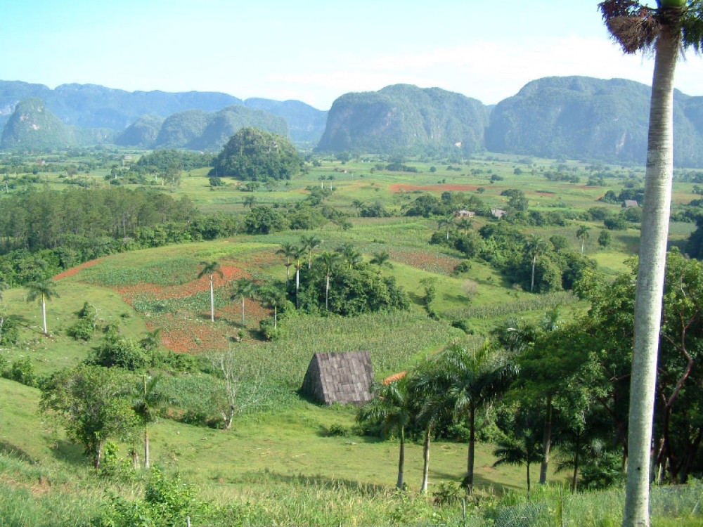 Paardrijden Vinales