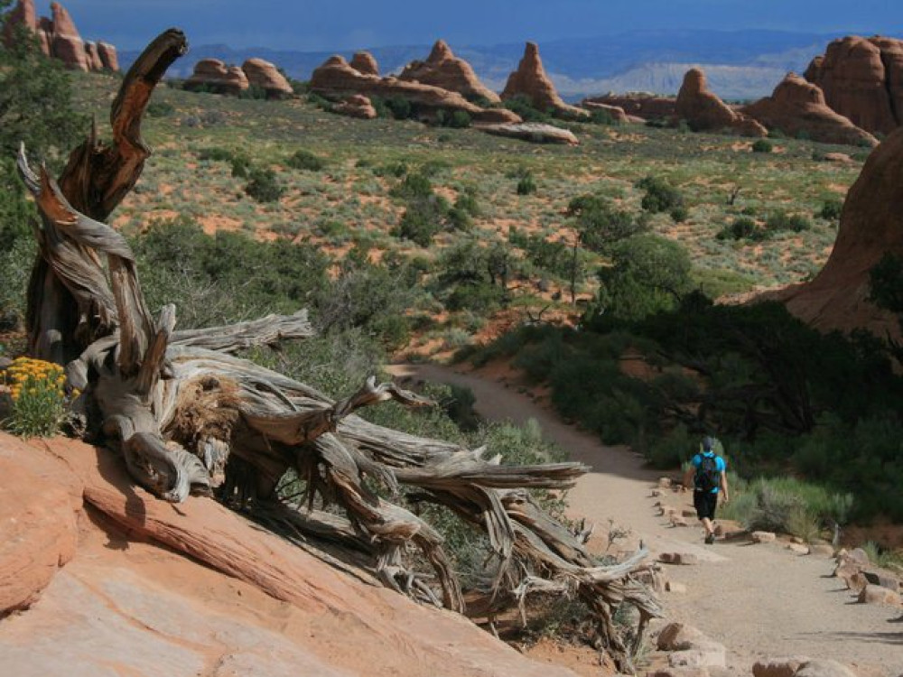 Wandelen in Arches