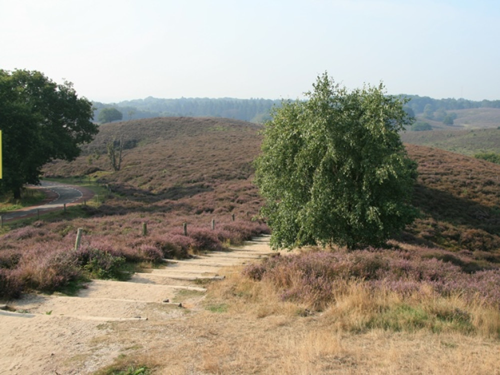 Wandelen Posbank