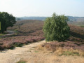 Wandelen Posbank