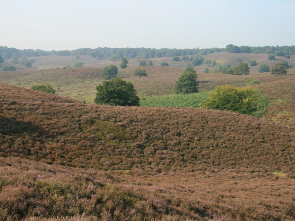 Uitzicht Posbank