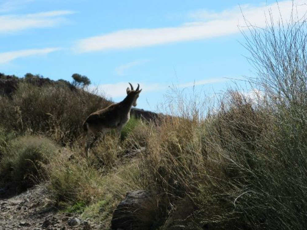 Andalusië wandeltocht