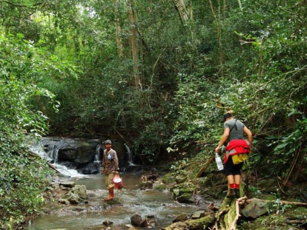 Jungle trekking Cambodja