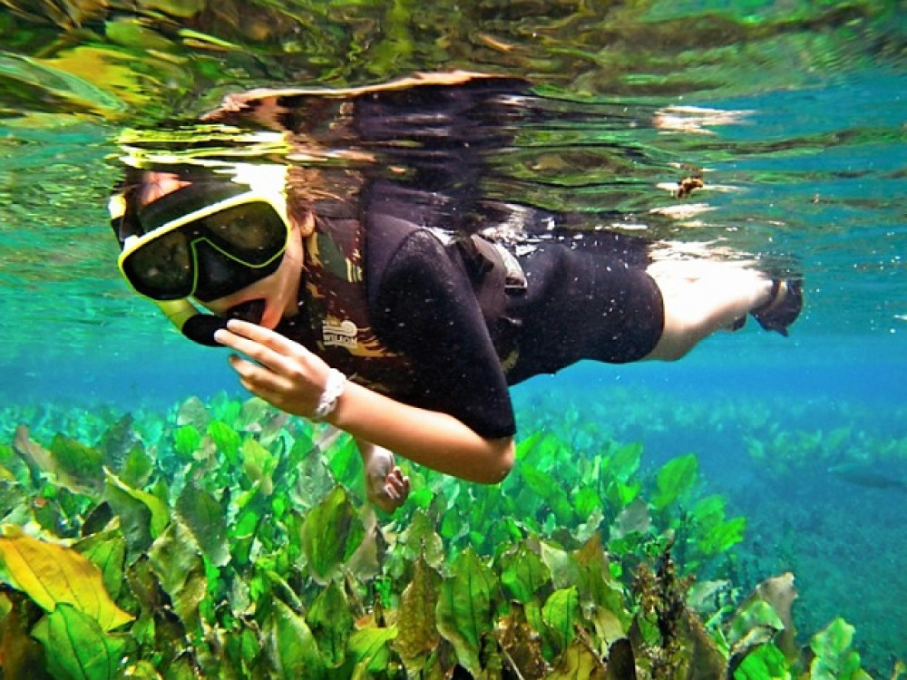 Snorkelen in de Pantanal