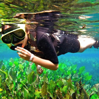 Afbeelding voor Snorkelen in de Pantanal