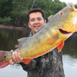 Afbeelding voor Vissen in de Amazone
