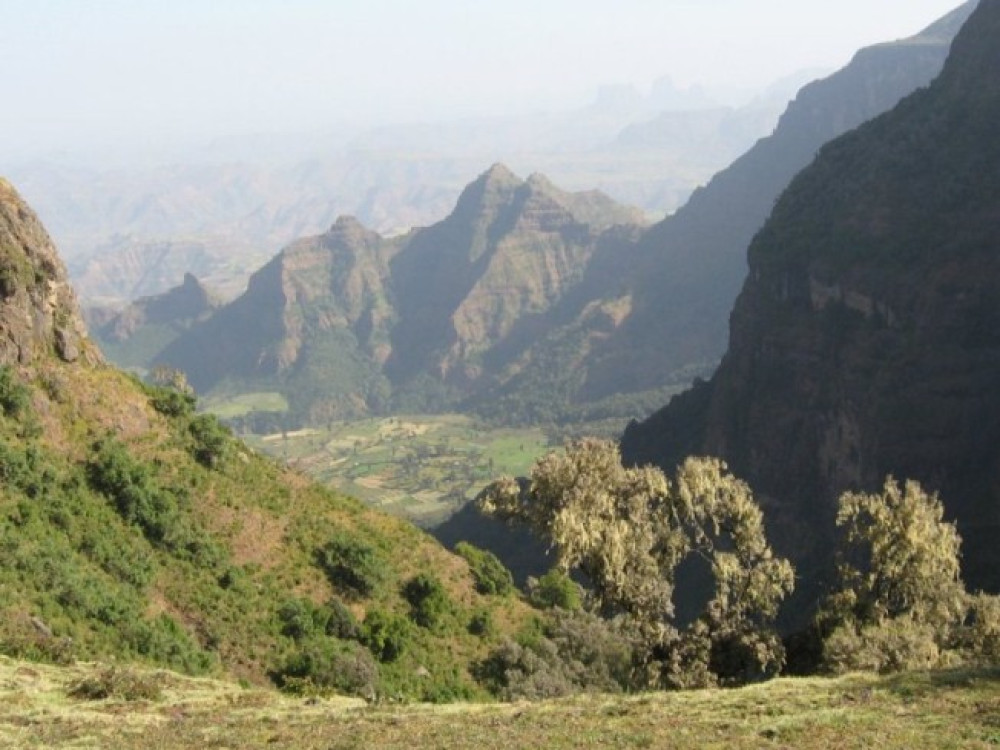 Simien