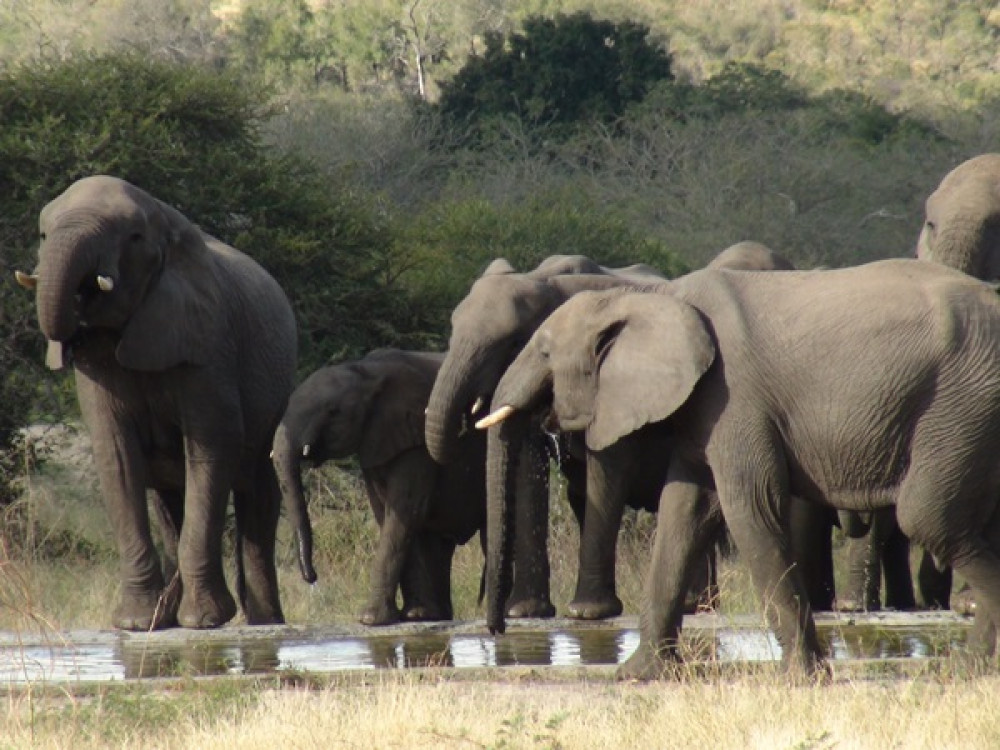 Kruger National Park