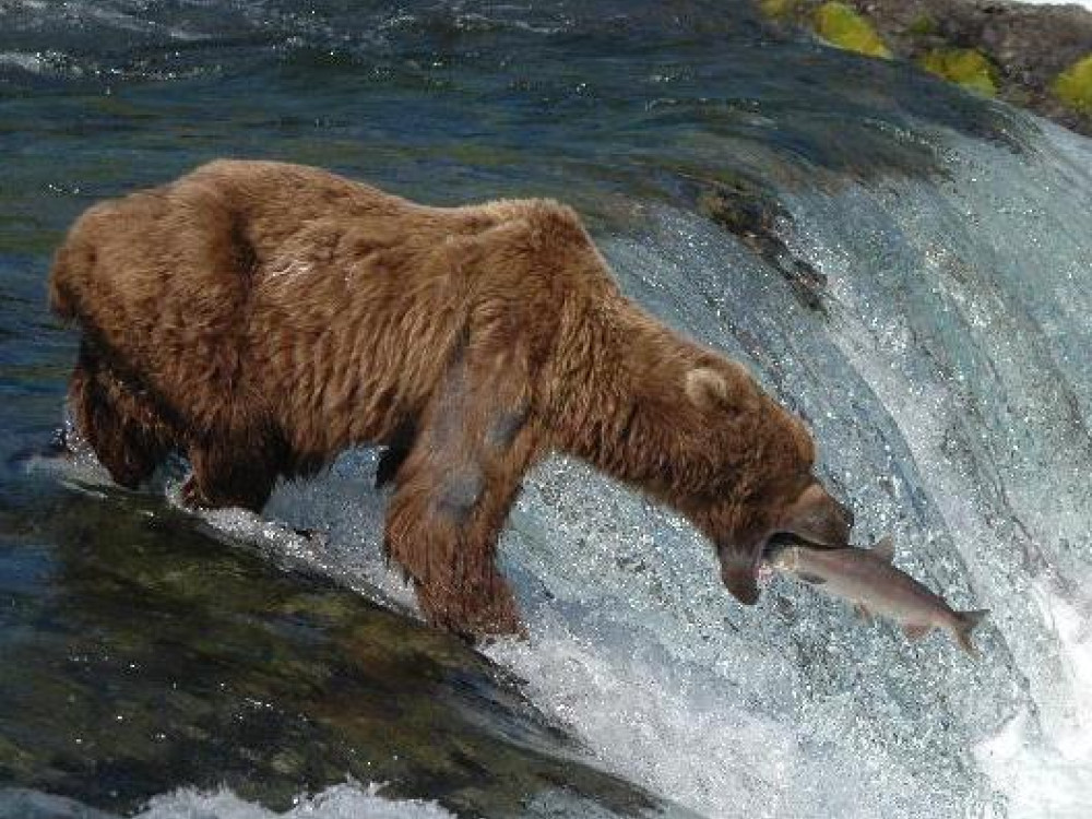 Katmai