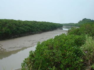 Afbeelding voor Tamsui River Mangrove Conservation Area