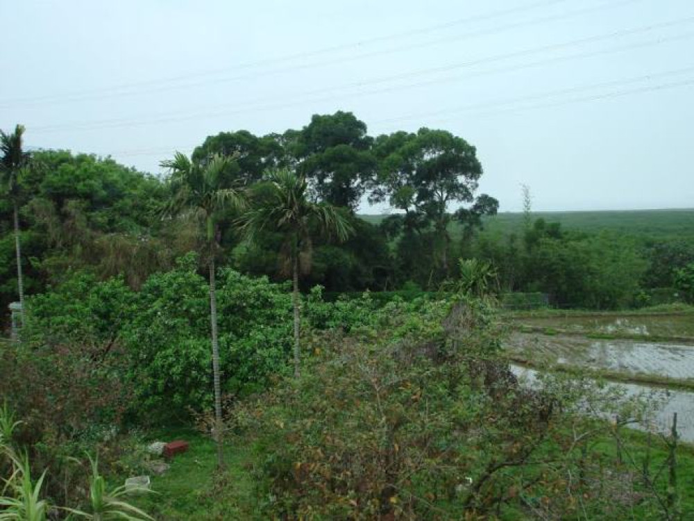 Natuur bij Taipei