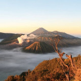Afbeelding voor Bromo vulkaan beklimmen