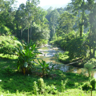 Afbeelding voor Jungle trekking in Noord-Thailand