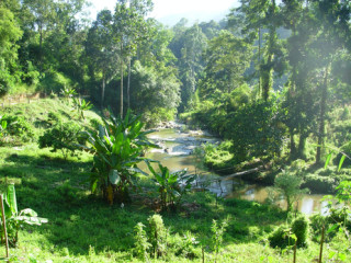 Afbeelding voor Jungle trekking in Noord-Thailand