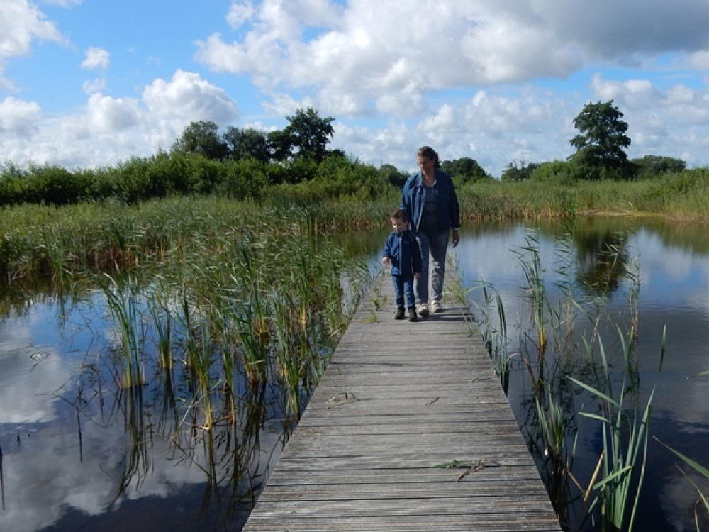 Wandelen Nederland